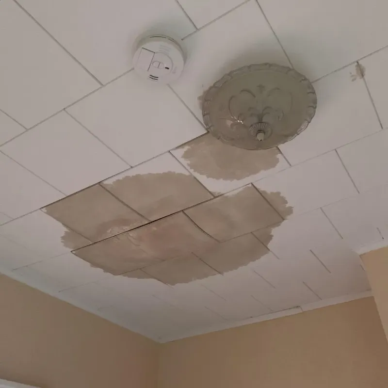 Ceiling Water Damage Repair in Benld, IL