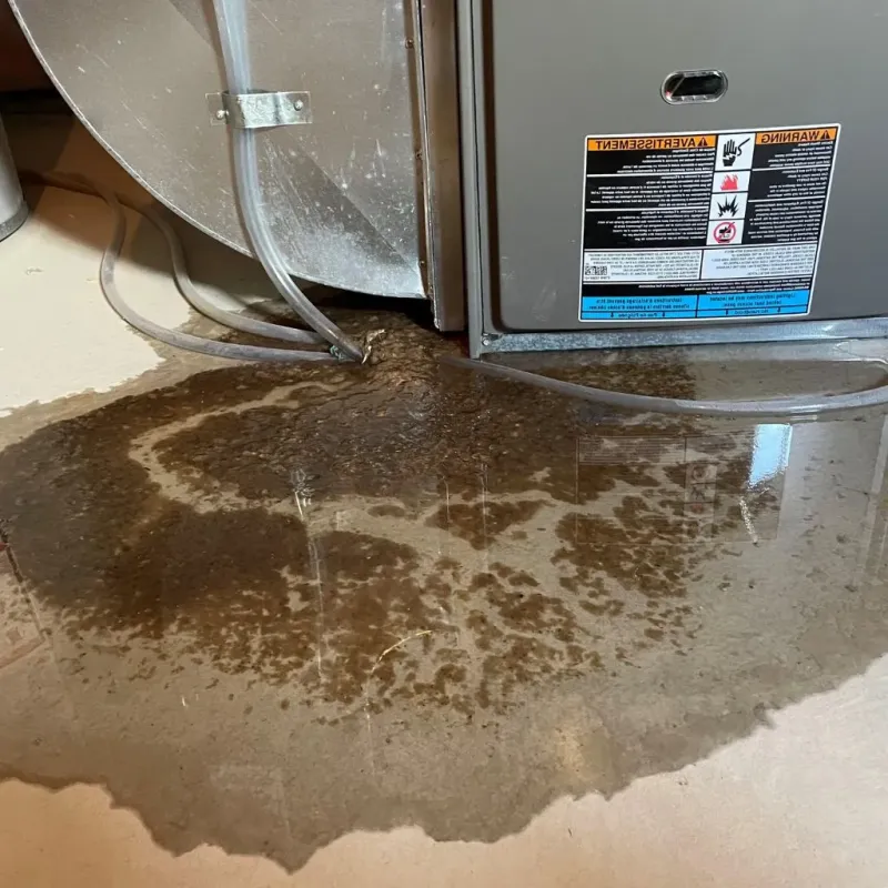Pipe Burst and Leak Restoration in Benld, IL