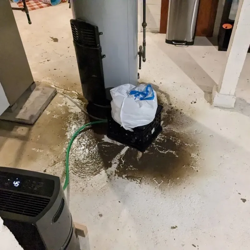 Sewage Backup Cleanup Service in Benld, IL